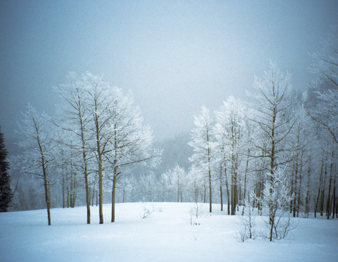 Rime-coated trees glow in the early morning light ALLEN OBANNON They say the - photo 4