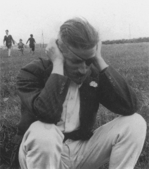 JAMES JOYCE THE BURDEN OF DISEASE Kathleen Ferris Frontispiece - photo 2