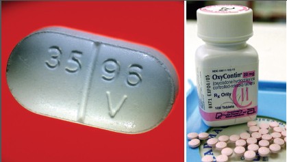 Vicodin left and OxyContin right are two of the most commonly misused - photo 7