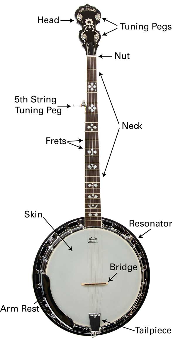 Electronic Tuner The easiest and most accurate way to tune your banjo is by - photo 10