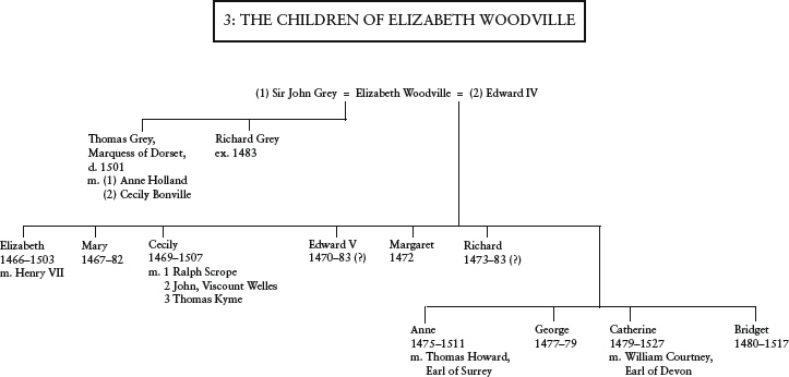 Introduction E lizabeth Woodville spent her earliest years in relative - photo 4