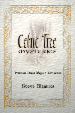 Stephen Blamires Celtic Tree Mysteries: Practical Druid Magic & Divination