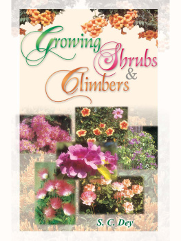 S.C. Dey - Growing Shrubs and Climbers