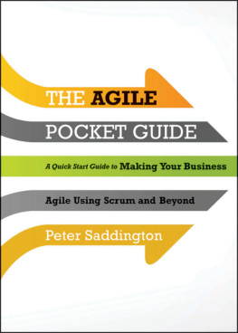 Peter Saddington The Agile Pocket Guide: A Quick Start to Making Your Business Agile Using Scrum and Beyond