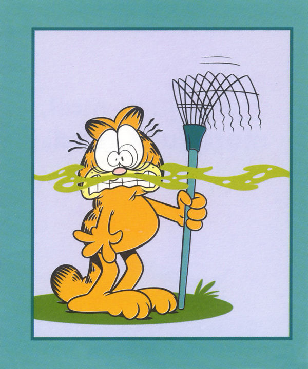 Save the Rivers Rain Forests and Ravioli Garfield Goes Green - photo 10