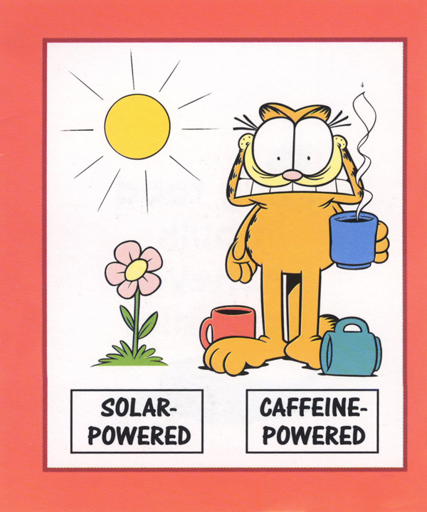 Save the Rivers Rain Forests and Ravioli Garfield Goes Green - photo 22