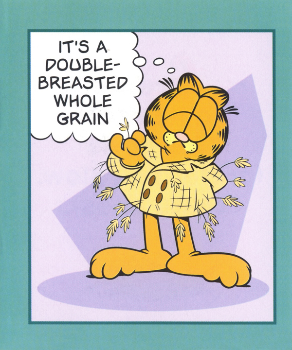 Save the Rivers Rain Forests and Ravioli Garfield Goes Green - photo 40