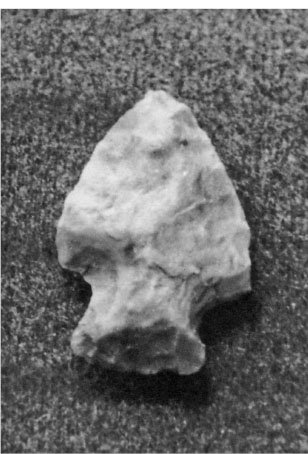 Illustration 1 Petrikins Hill arrowhead Greeley Colorado ARROWHEADS STONE - photo 2