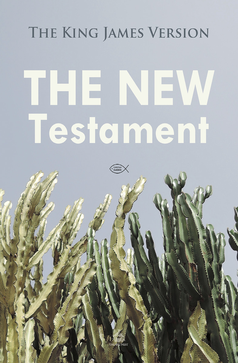 The New Testament The King James Version - image 1