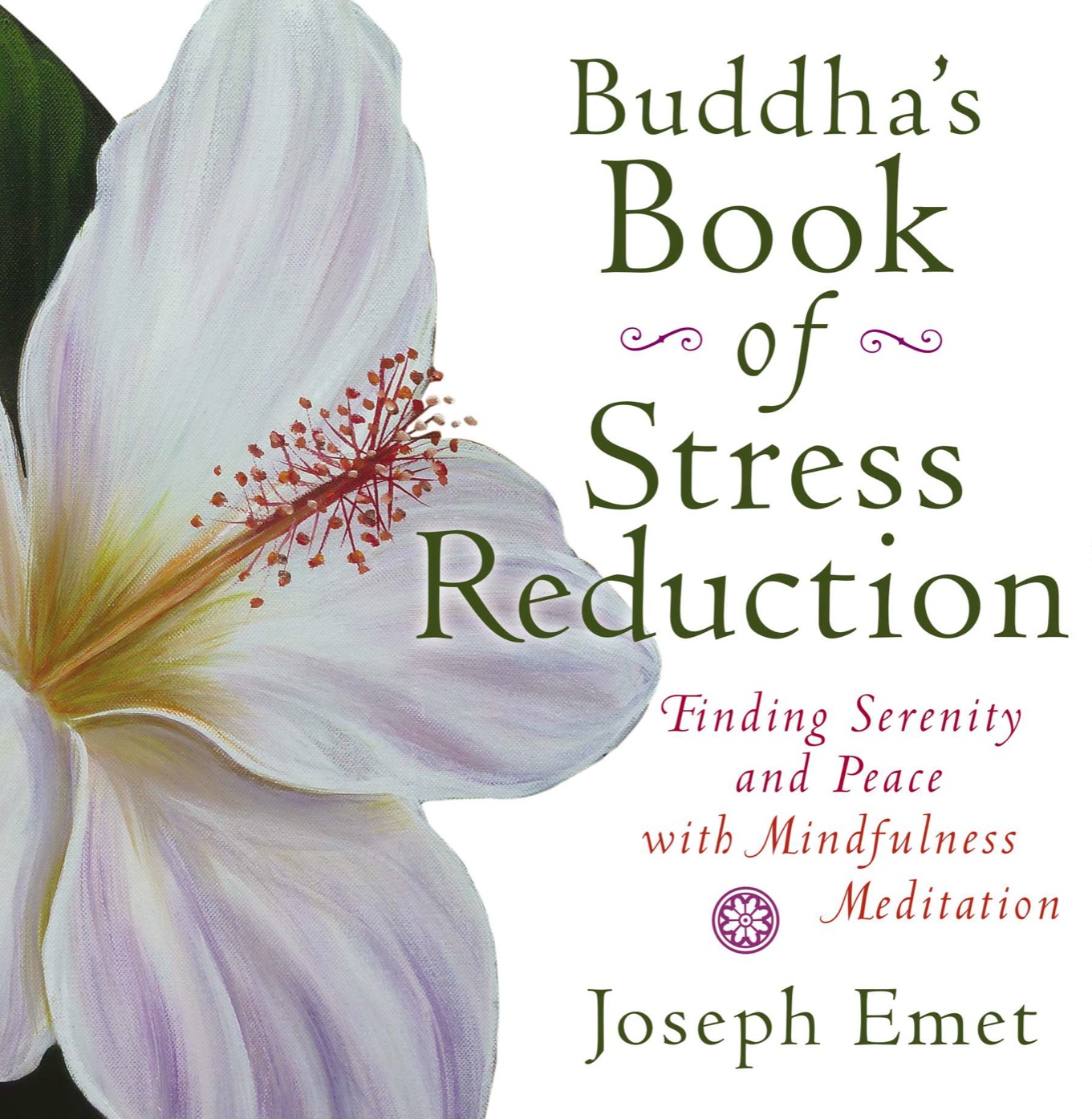 Buddhas Book of Stress Reduction Finding Serenity and Peace with Mindfulness Meditation - image 1