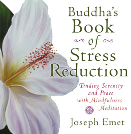 Joseph Emet Buddhas Book of Stress Reduction: Finding Serenity and Peace with Mindfulness Meditation