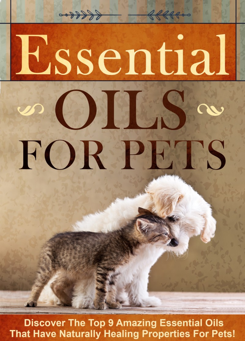 Essential Oils for Pets Discover The Top 9 Amazing Essential Oils That Have - photo 1