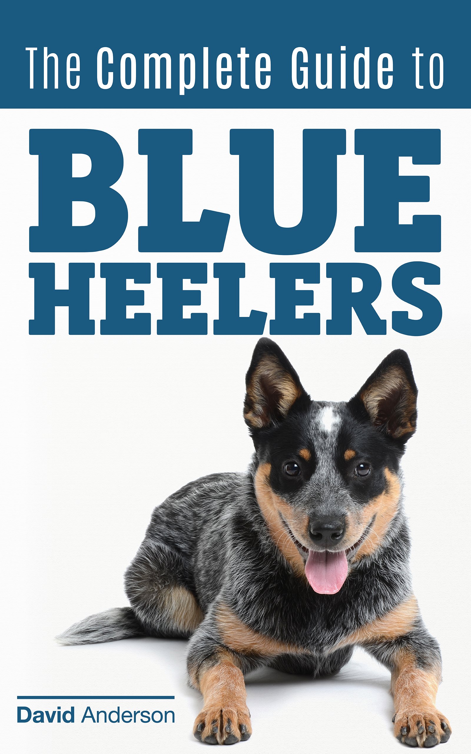 Table of Contents INTRODUCTION The Blue Heeler also known as the Australian - photo 1