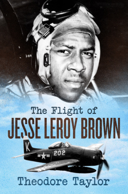 Theodore Taylor - The Flight of Jesse Leroy Brown