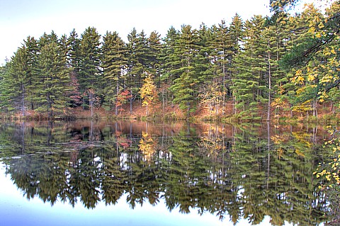 The terrain of this state park is rolling to steep The elevation of Bear Hill - photo 5