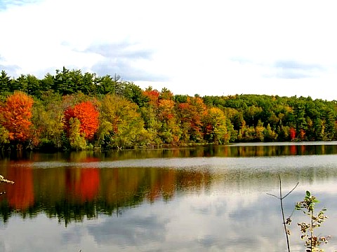 The Androscoggin River Annett State Forest Location From US 202 at - photo 3