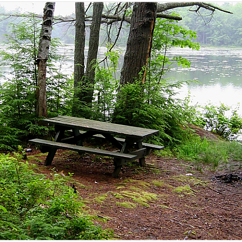 Facilities Hiking on old woods roads hunting for deer and other select small - photo 4