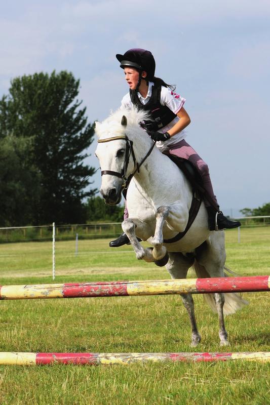 Do your riding skills match your idea of the kind of pony you hope to buy Be - photo 3