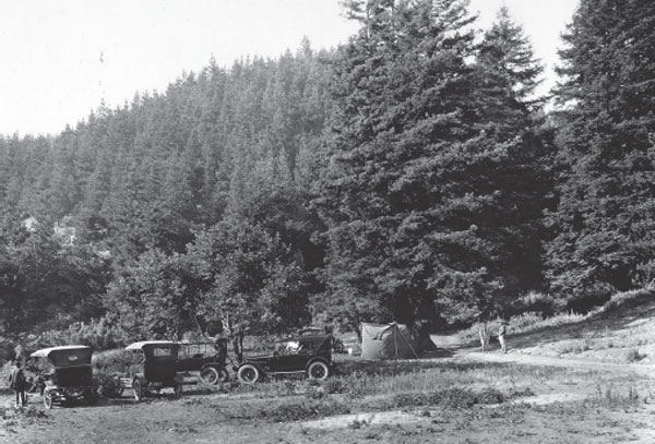 Crews from the Works Progress Administration WPA arrive in Redwood Regional - photo 3