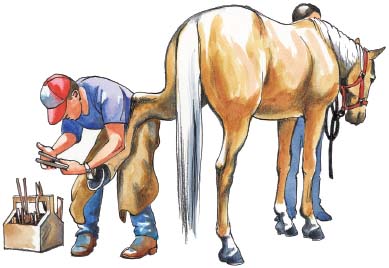 2 Regular farrier care Domesticated horses need regular farrier care to trim - photo 2