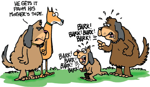 When Barking Becomes a Problem The most important thing to know about barking - photo 4