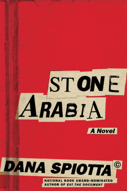 Dana Spiotta - Stone Arabia