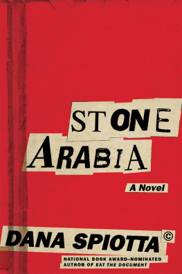 Dana Spiotta Stone Arabia