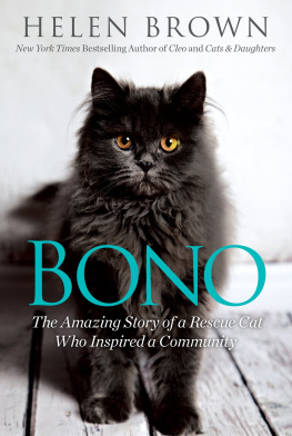 Helen Brown Bono: The Amazing Story of a Rescue Cat Who Inspired a Community