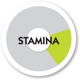 Stamina also called cardio is a dogs ability to remain active for a long - photo 11