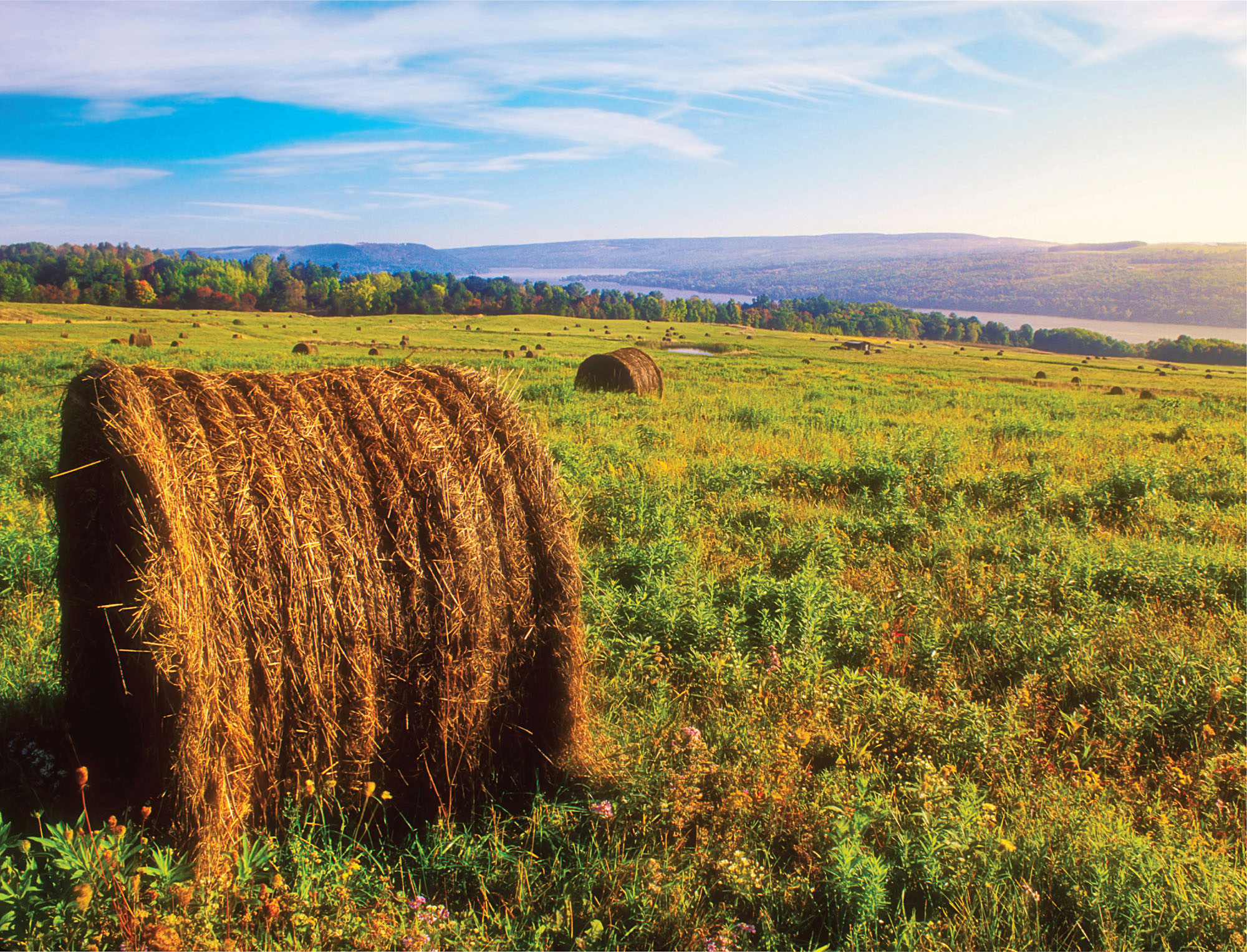 PAT CHUCK BLACKLEY Hay bales dot a lush field near New Yorks Keuka Lake - photo 4