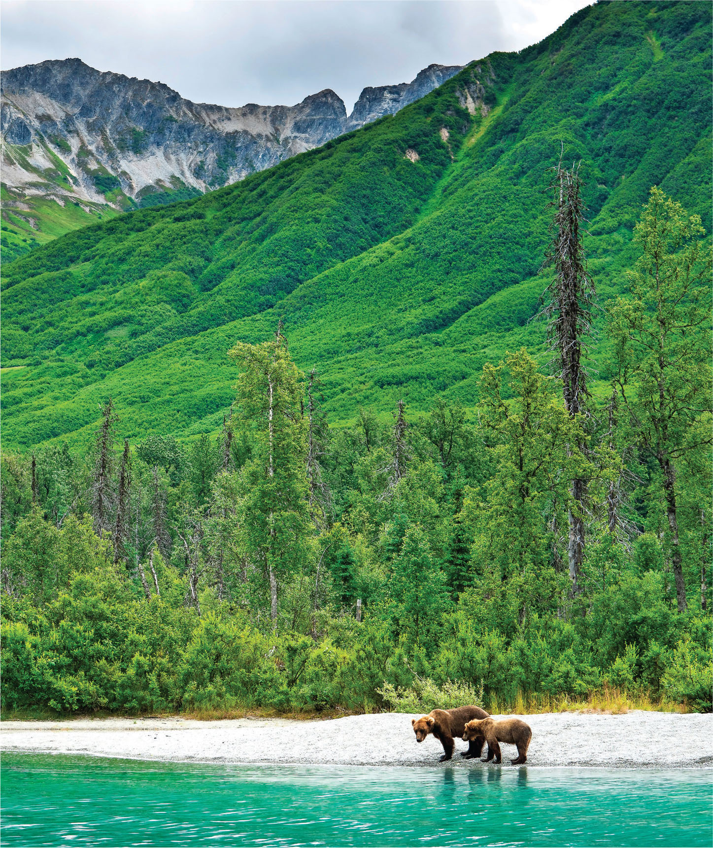 Lake Clark National Park is home to many coastal brown bears For another - photo 9