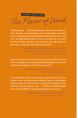 Artur Cisar-Erlach - The Flavor of Wood: In Search of the Wild Taste of Trees, from Smoke and Sap to Root and Bark