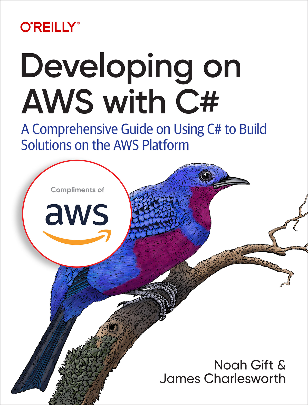 Developing on AWS with C by Noah Gift and James Charlesworth Copyright 2023 - photo 1