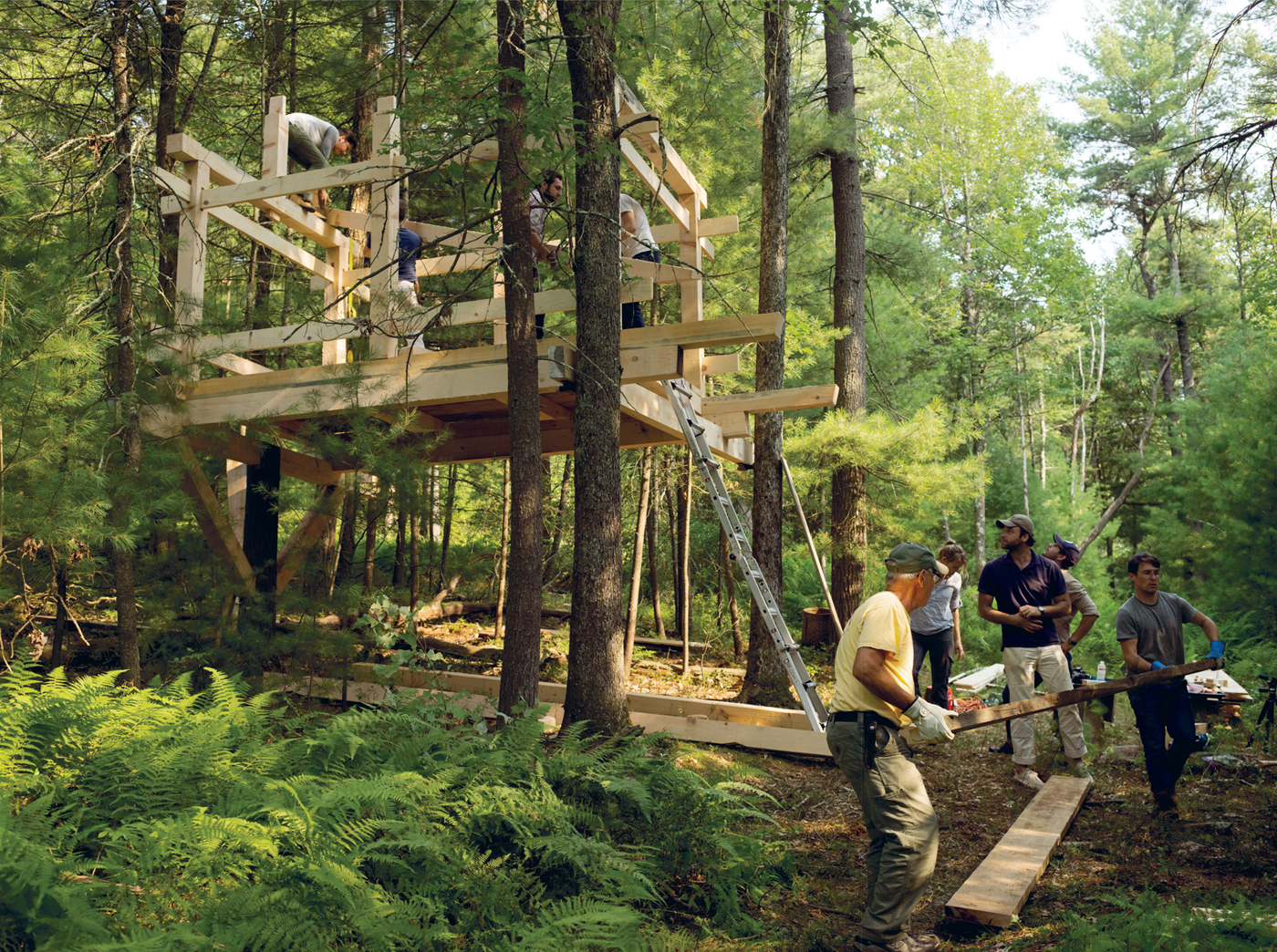 A beginner creates a shared retreat in the woods for learning and doing - photo 7