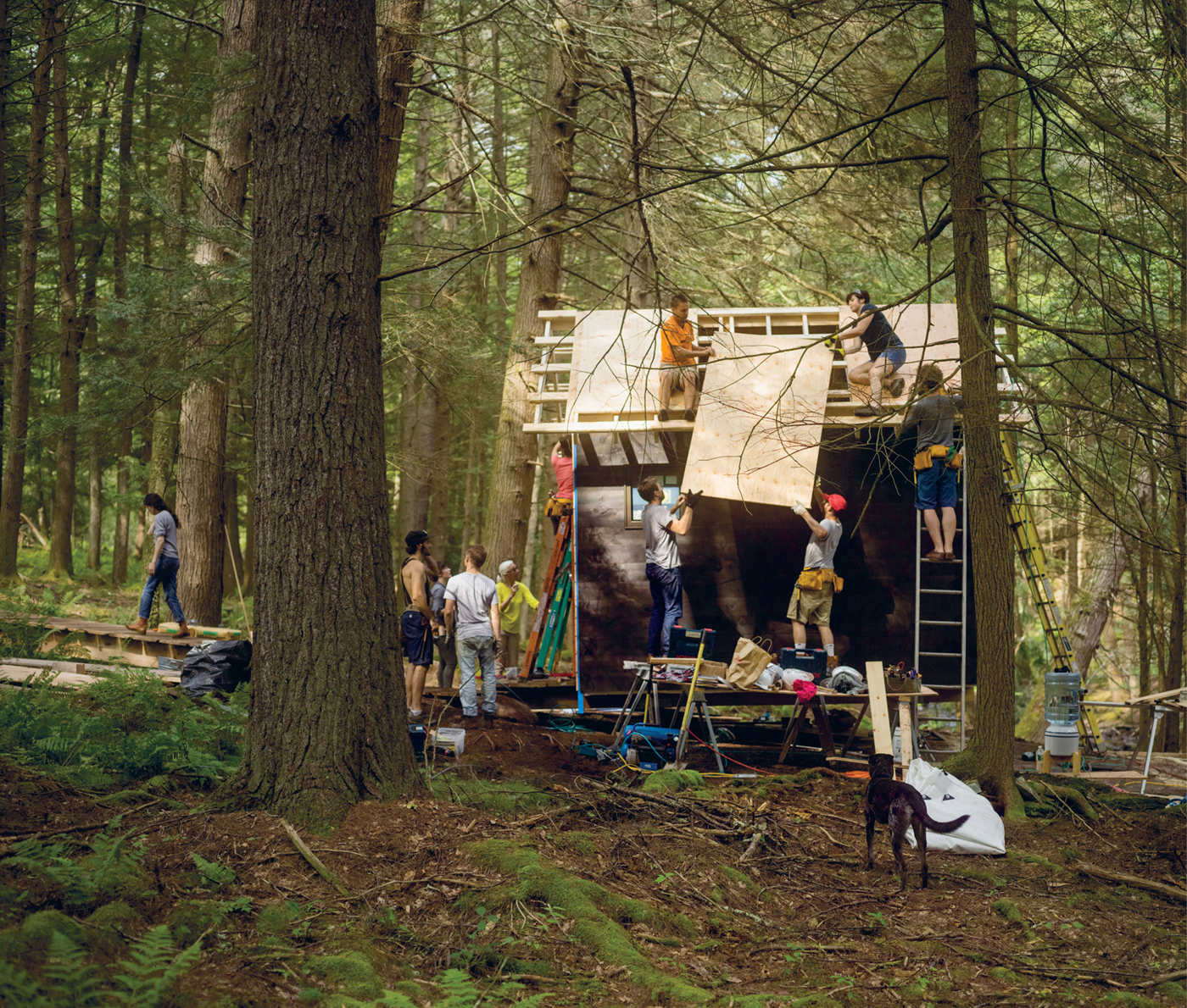 A beginner creates a shared retreat in the woods for learning and doing - photo 5