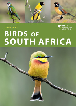 Adam Riley Birds of South Africa