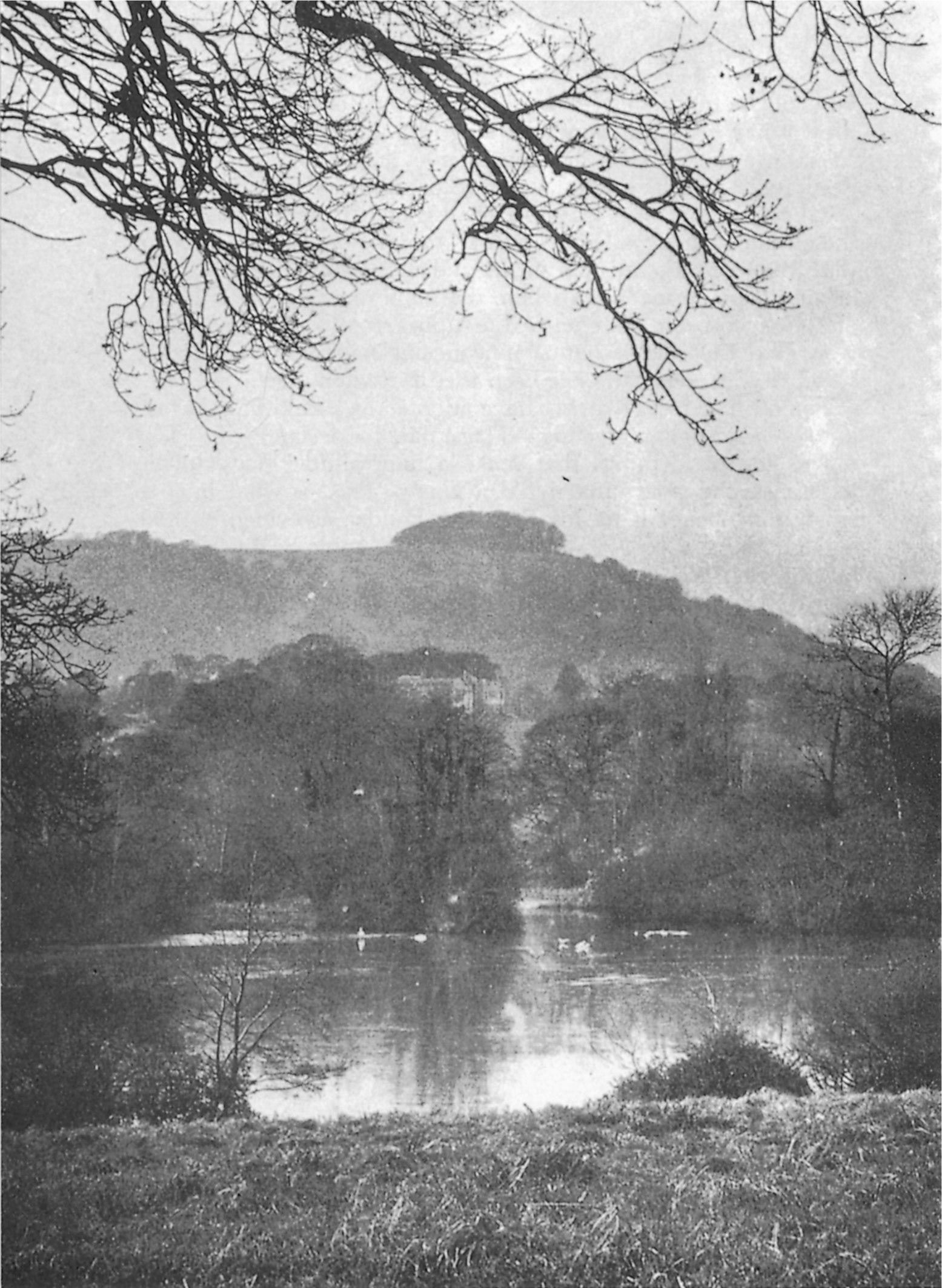 Distant view of Chanctonbury Ring the traditional past meeting place of - photo 6