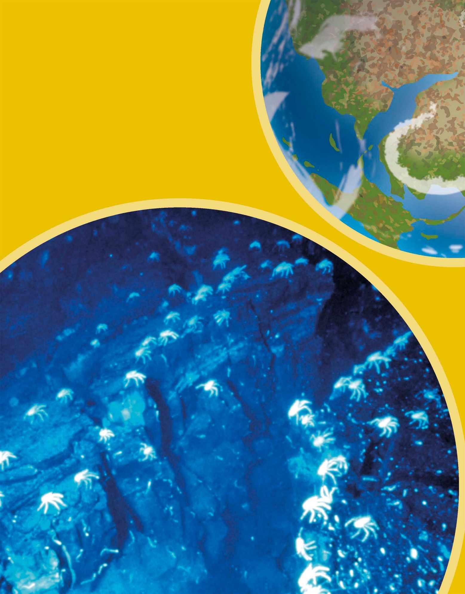 Seen from space Earth is a blue planeta world cover ed mostly by salty water - photo 6