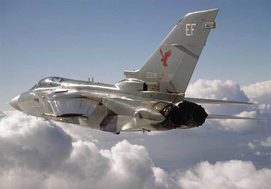 A Tornado F3 with the wings in the 67 fully swept position CHAPTER 1 A - photo 6