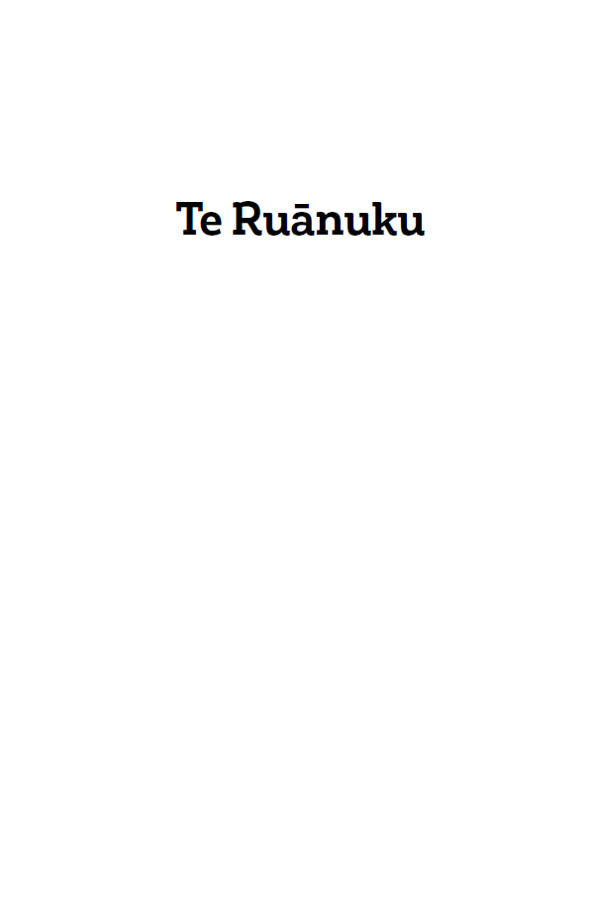 Te Ruanuku - image 2