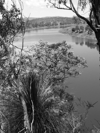 Figure 1 The Brisbane River at Caboonbah The Mirage There is a garden in the - photo 3