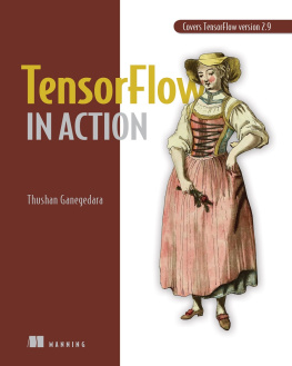 Thushan Ganegedara - TensorFlow in Action