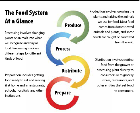 Adapted from the Centers for Disease Control and Prevention Food Production - photo 13