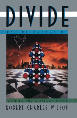 Robert Charles Wilson - The Divide