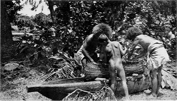 The boy is water-carrier to the two men kneading the sago pith PRIMITIVE - photo 3