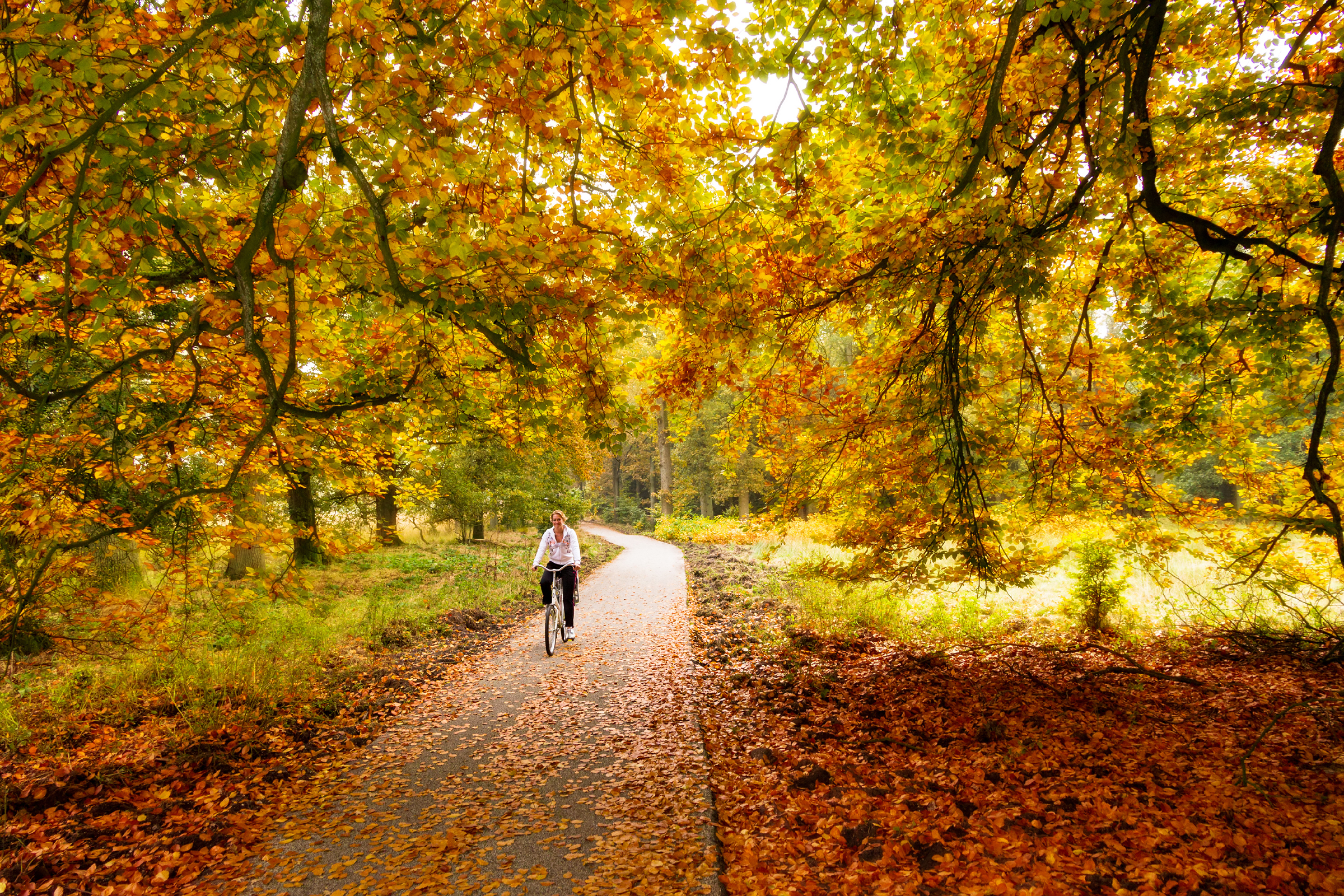 Cycling in The DENNIS VAN DE WATERSHUTTERSTOCK By Nicola Williams - photo 8