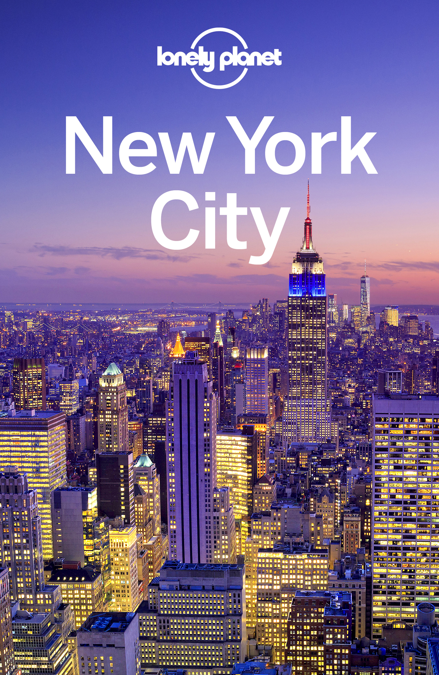 Lonely Planet New York City 12 Travel Guide - image 1