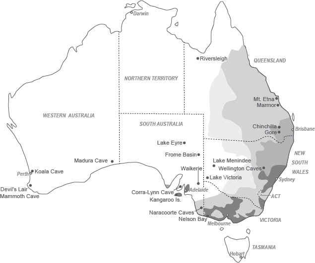 Fossils of koalas have been found across the southern and eastern regions of - photo 3