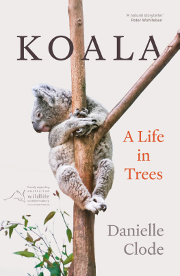 Danielle Clode - Koala: A Life in Trees