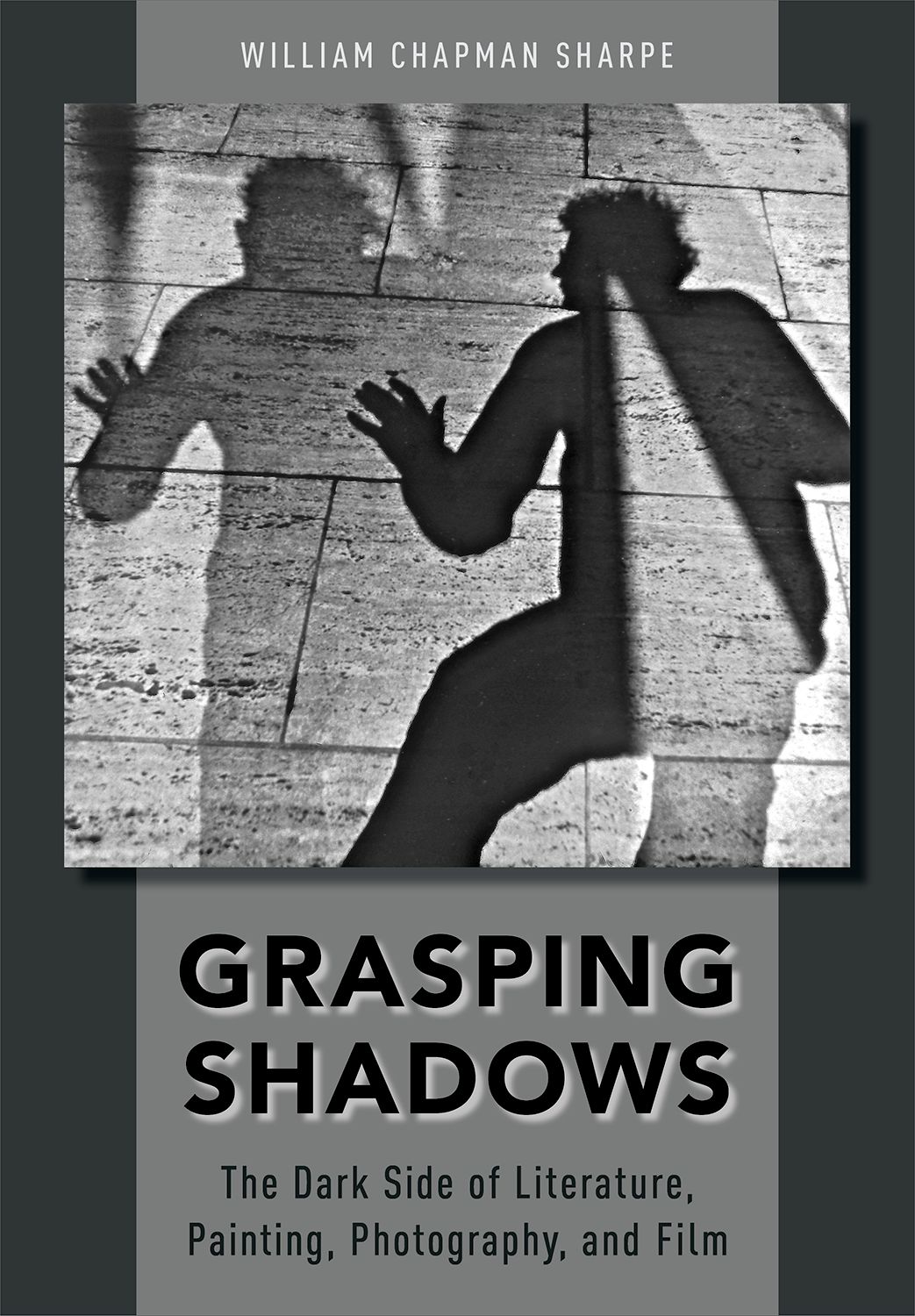 Grasping Shadows The Dark Side of Literature Painting Photography and Film - image 1